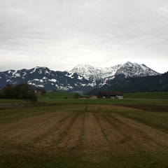 Hundetreffen 2014 im Allgäu (1)